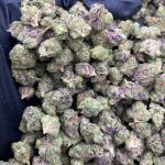 RAINBOW PUSH POP SMALLS