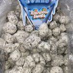 RAINBOW SWIRL SNOWCONES