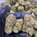 WHITE ZKITTLEZ