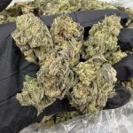 BLUEBERRY FROSTY